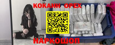стаф Славгород
