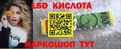 стаф Славгород