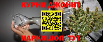 стаф Славгород
