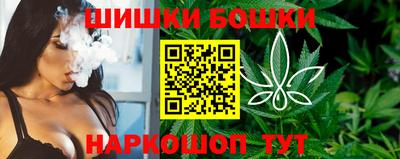 стаф Славгород