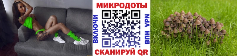 Галлюциногенные грибы Magic Shrooms  купить   Рузаевка 