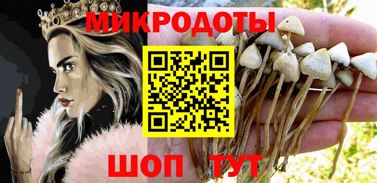 Псилоцибиновые грибы прущие грибы Рузаевка